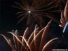 Feuerwerk und Lasershow zum Festival Of Lights VII